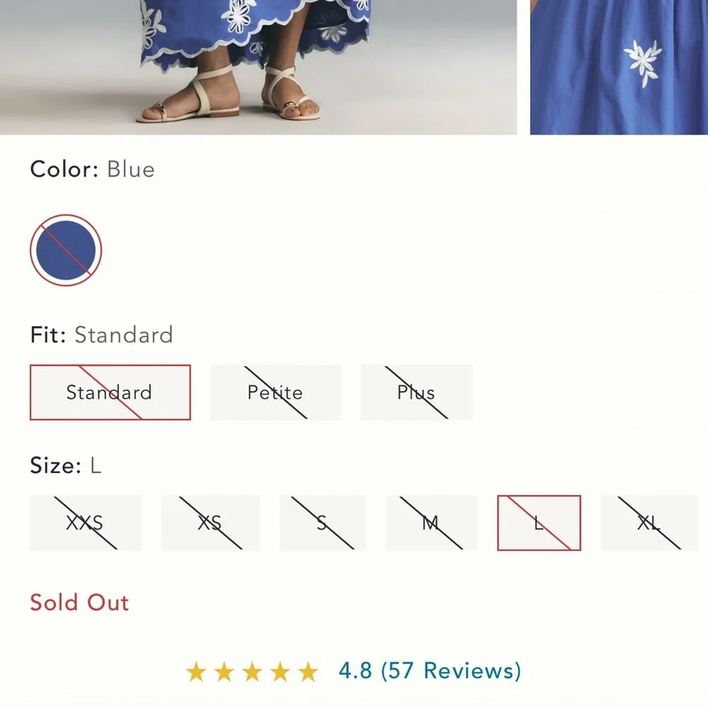 Anthropologie Embroidered Somerset Blue Maxi Dress - Picture 5 of 10